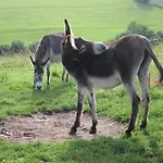 Alpstuga Reinskopf In Der Eifel *