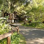 Reinskopf In Der Eifel Schönecken