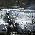 Reinskopf In Der Eifel *