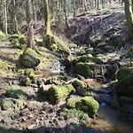 Reinskopf In Der Eifel * Schönecken