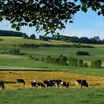 Reinskopf In Der Eifel Alpstuga Schönecken