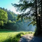 Reinskopf In Der Eifel