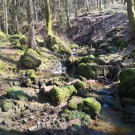 Reinskopf In Der Eifel * Schonecken