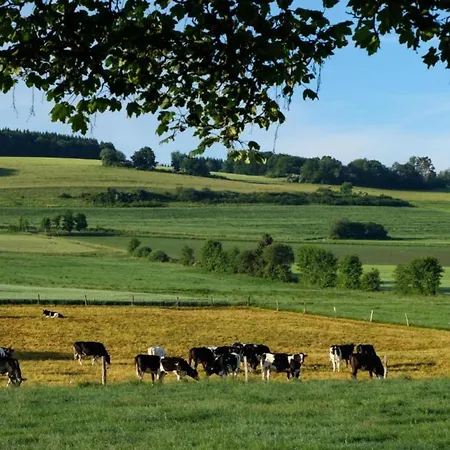 Reinskopf In Der Eifel Chalet Schonecken
