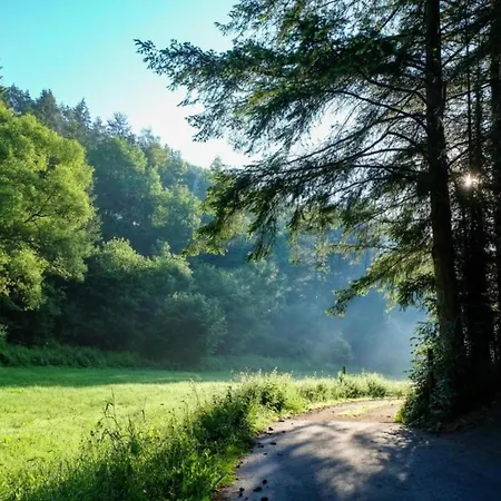 Feriendorf Reinskopf In Der Eifel