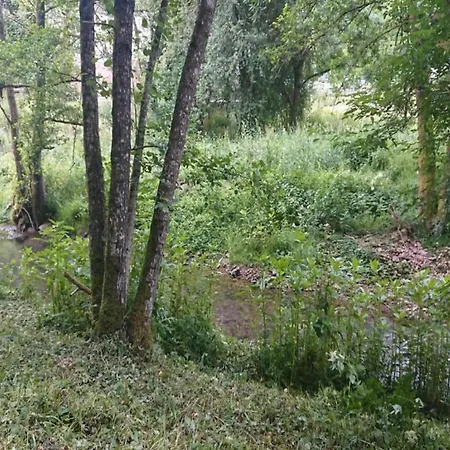 Chalet Reinskopf In Der Eifel