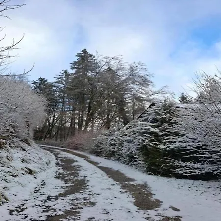 Chalet Reinskopf In Der Eifel Schonecken