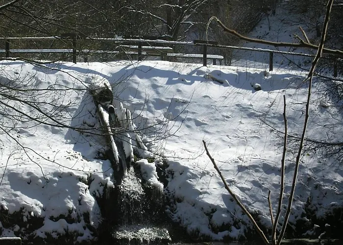 Feriendorf Reinskopf In Der Eifel *