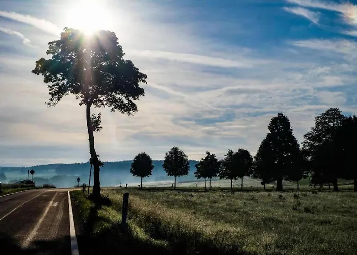 Reinskopf In Der Eifel