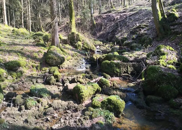 Reinskopf In Der Eifel * Schönecken