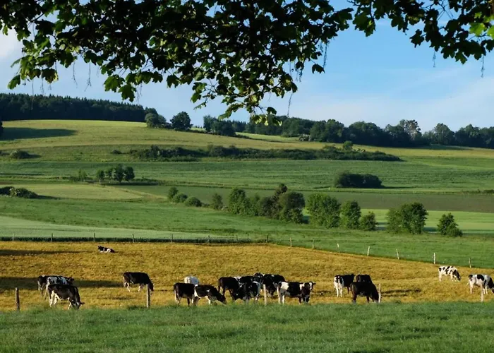 Reinskopf In Der Eifel 木屋 Schönecken