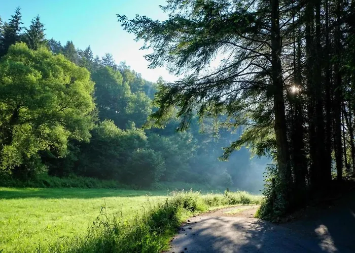 Feriendorf Reinskopf In Der Eifel