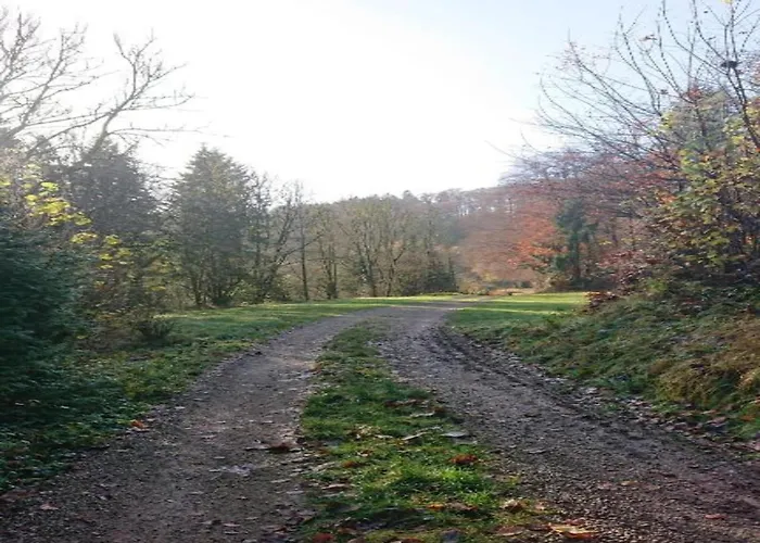 Chalet Feriendorf Reinskopf In Der Eifel Schönecken