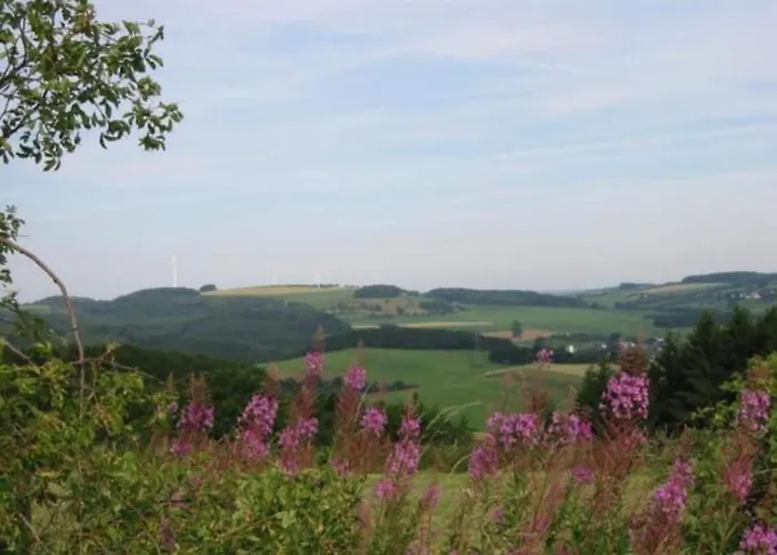 Feriendorf Reinskopf In Der Eifel Chalet Schönecken