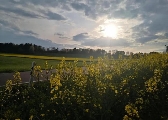 Chalet Feriendorf Reinskopf In Der Eifel