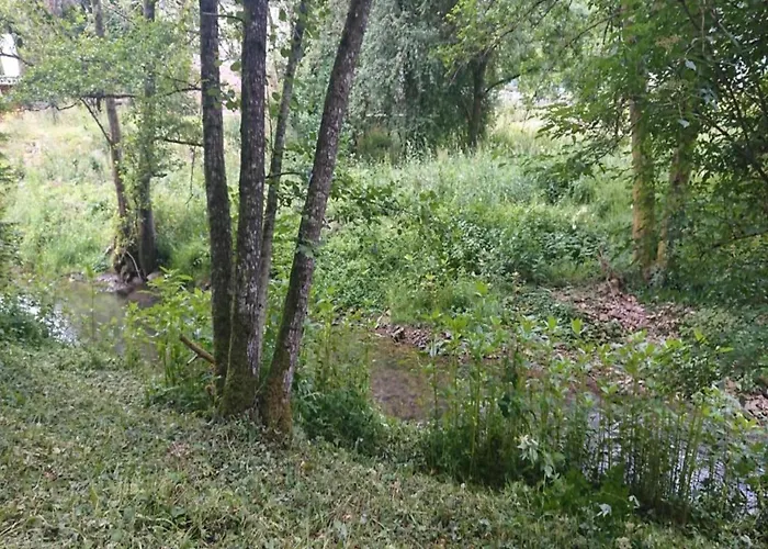 木屋 Reinskopf In Der Eifel