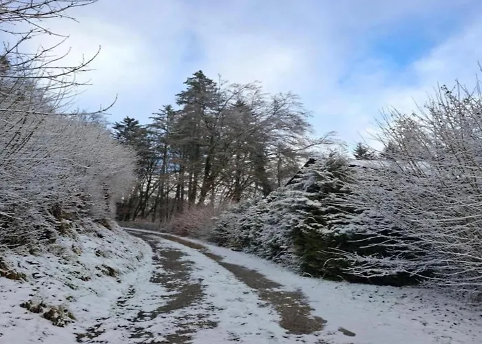 木屋 Reinskopf In Der Eifel Schönecken